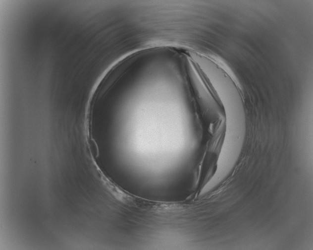 X0000074011148200609181827