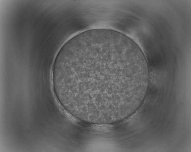 X0000074011150200609181827