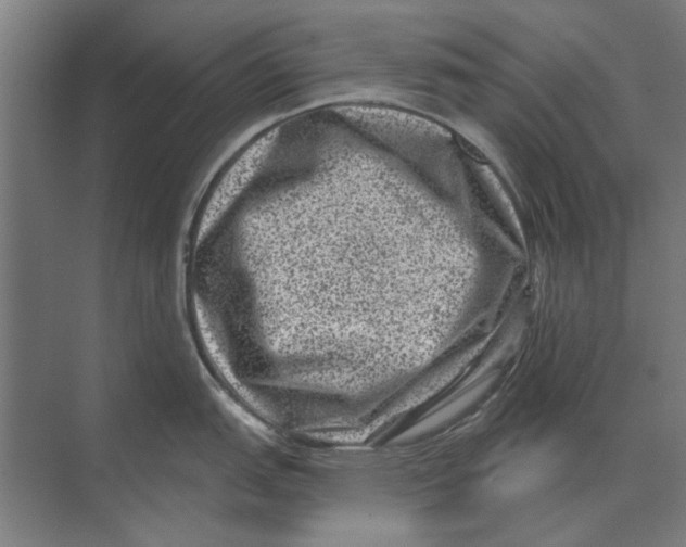 X0000074011151200609181828