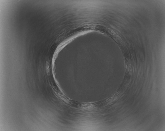 X0000074011154200609181827