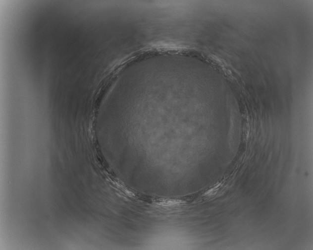 X0000074011157200609181827