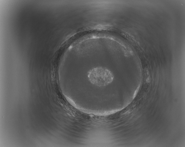 X0000074011158200609181827