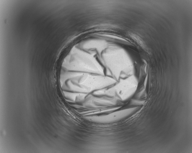 X0000074011164200609181827