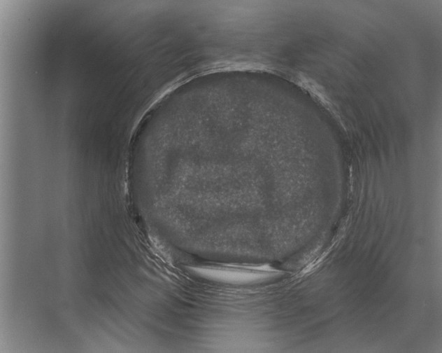 X0000074011165200609181827