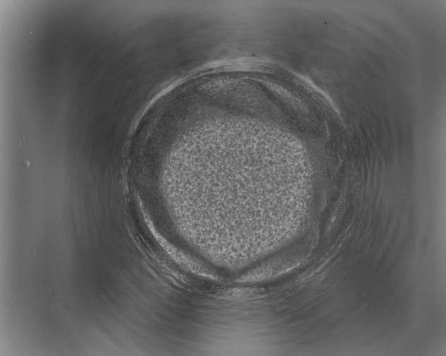 X0000074011166200609181827