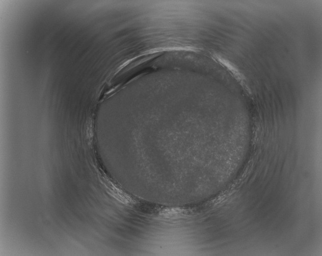 X0000074011169200609181826