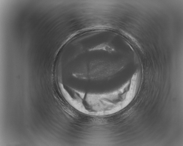 X0000074011170200609181826