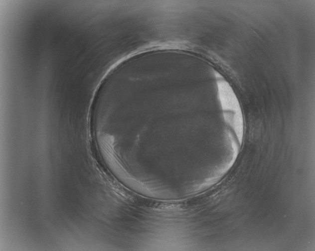 X0000074011174200609181826