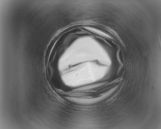 X0000074011176200609181826