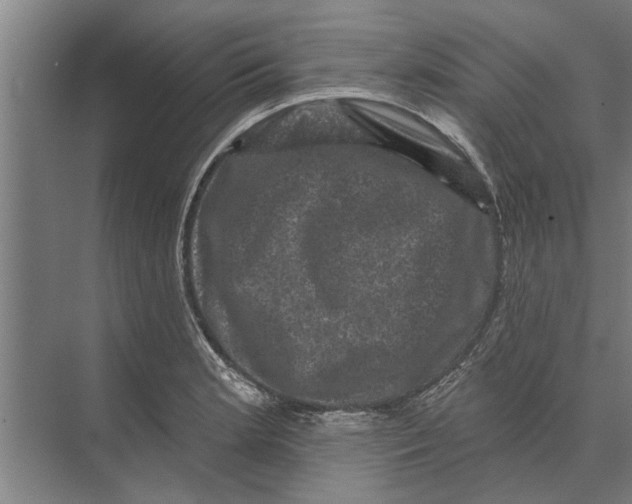 X0000074011181200609181826