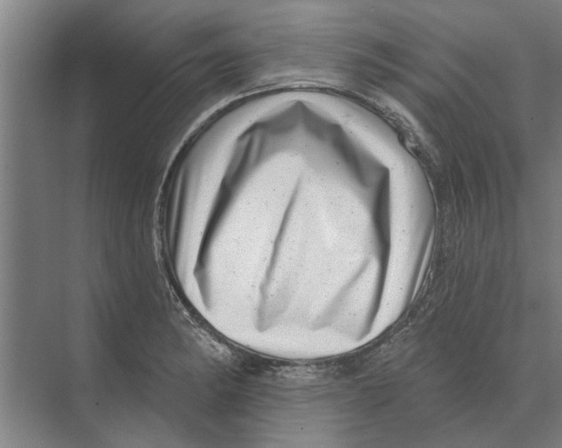 X0000074011182200609181826