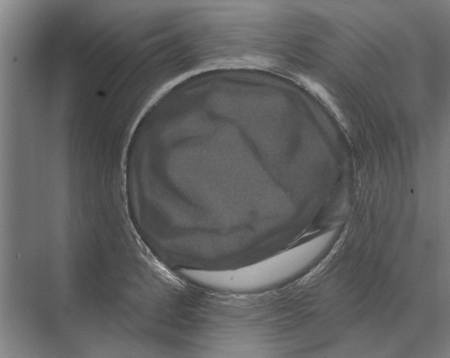 X0000074011184200609181826