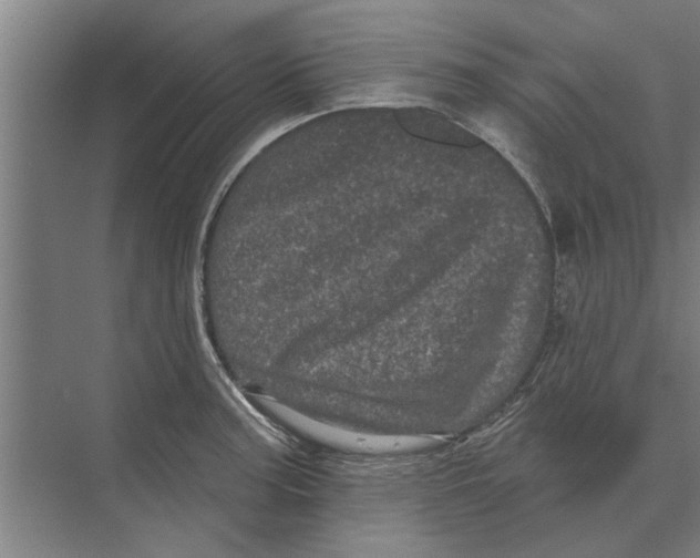 X0000074011187200609181826