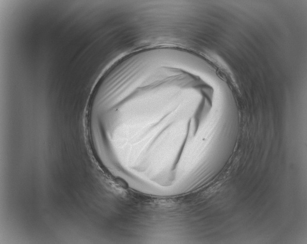 X0000074011190200609181826