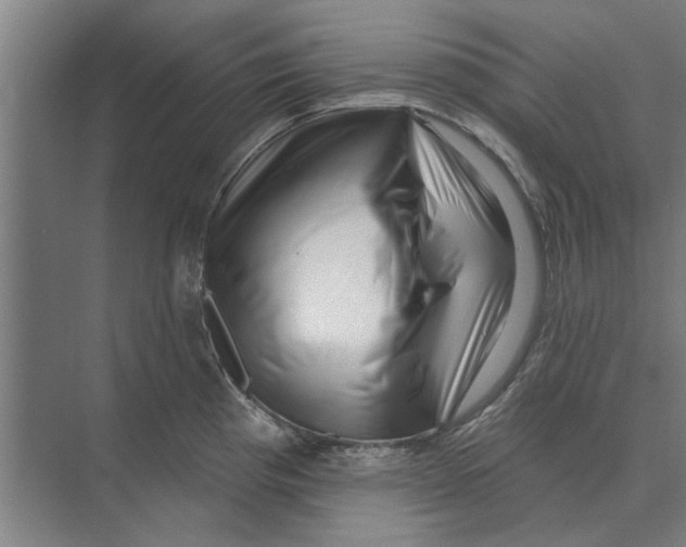 X0000074011193200609181826