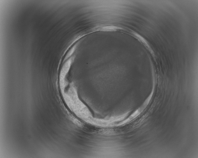 X0000074011194200609181826