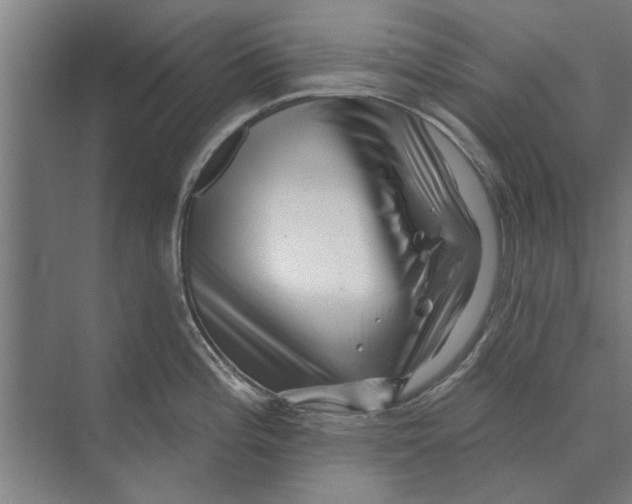 X0000074011196200609181826