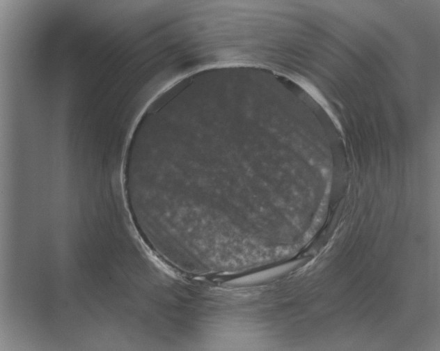 X0000074011197200609181826