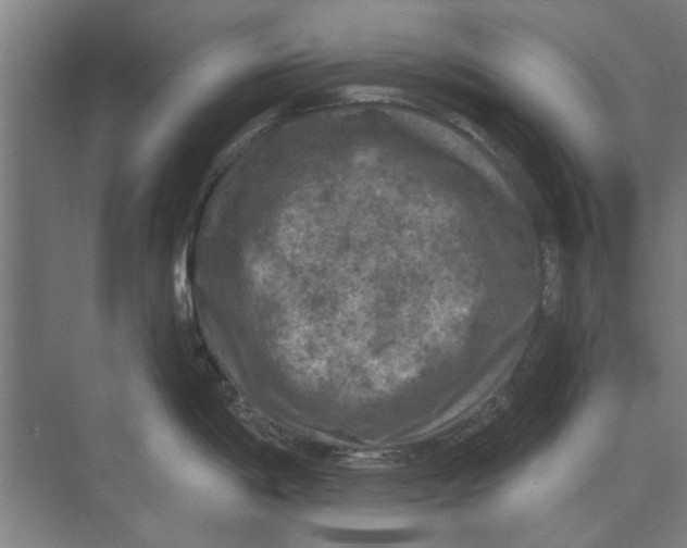 X0000074011198200609181826