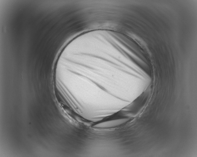 X0000074011200200609181826