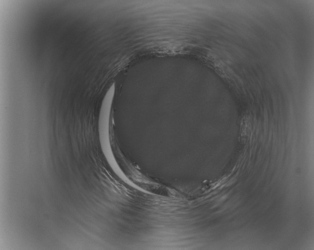 X0000074011202200609181825