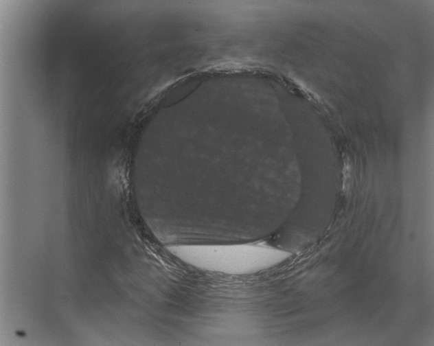 X0000074011206200609181825