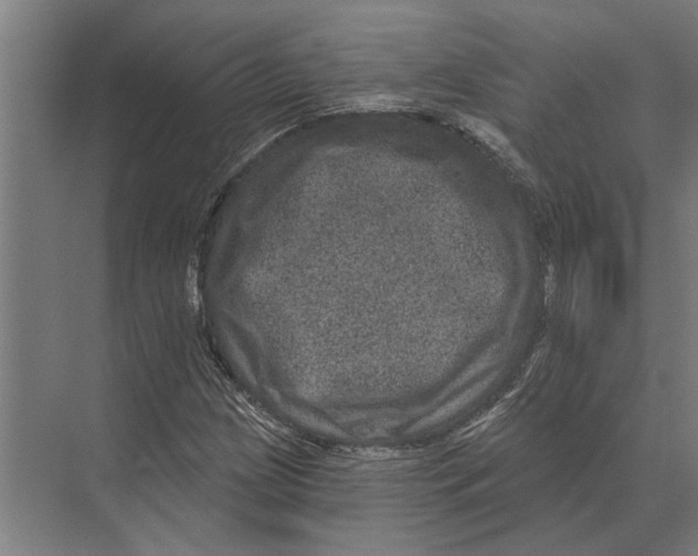 X0000074011209200609181825