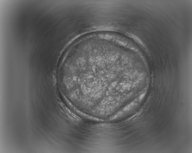 X0000074011212200609181825