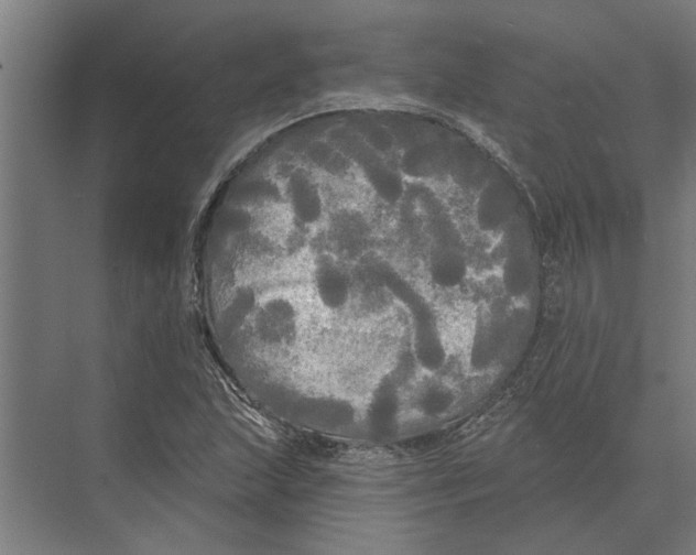 X0000074011215200609181825