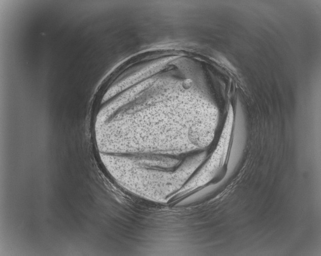 X0000074011216200609181825