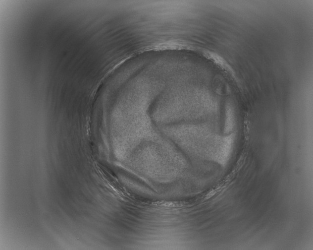 X0000074011217200609181825