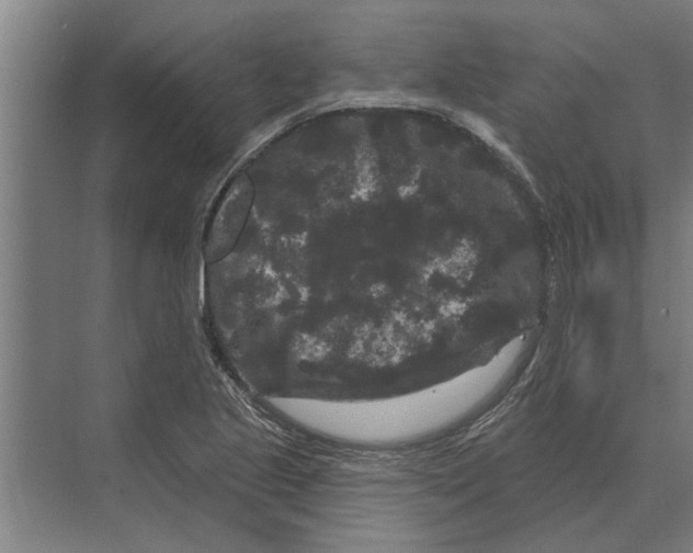 X0000074011221200609181825