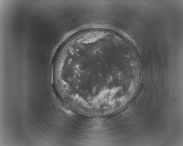 X0000074011223200609181825