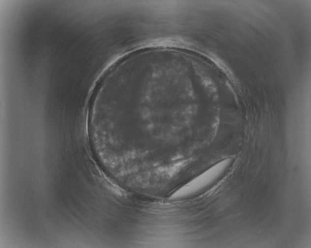 X0000074011224200609181826