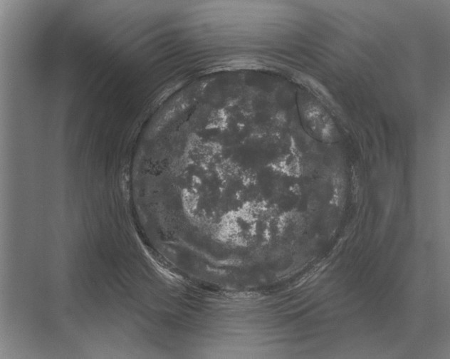 X0000074011225200609181826