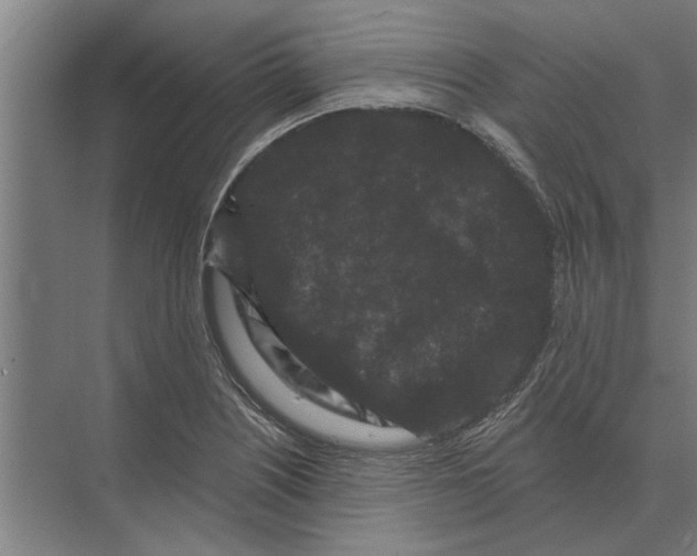 X0000074011226200609181826