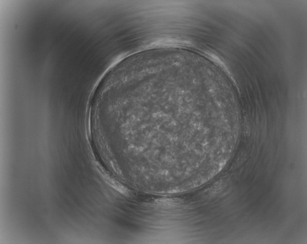 X0000074011227200609181826