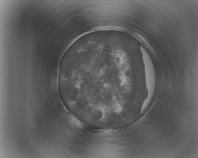 X0000074011228200609181826