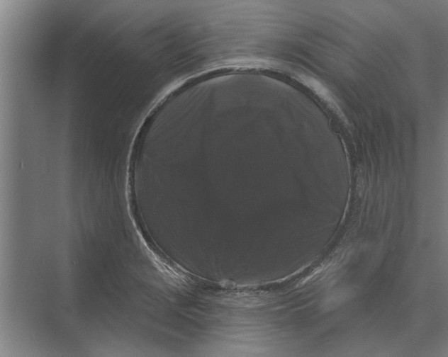 X0000074011229200609181826