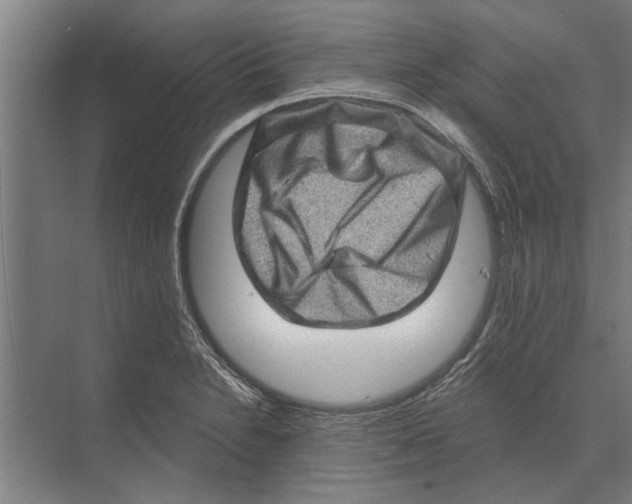 X0000074011230200609181826