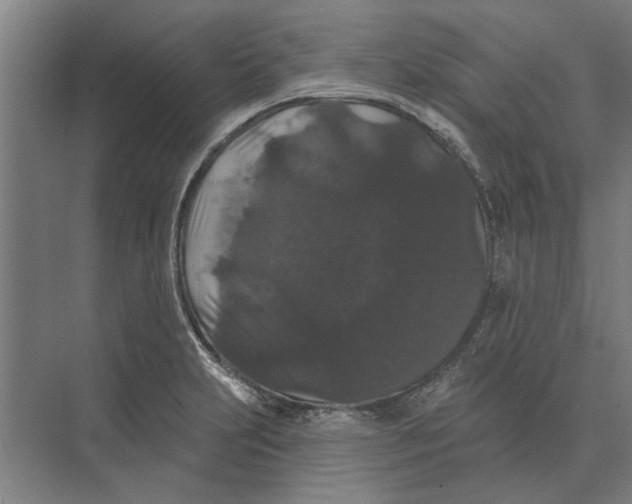 X0000074011231200609181826