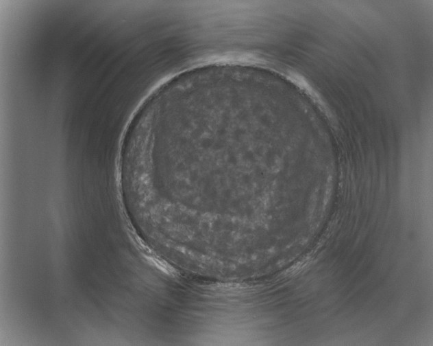 X0000074011232200609181826