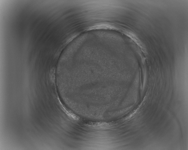 X0000074011233200609181826