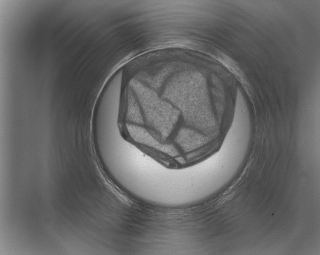 X0000074011234200609181826