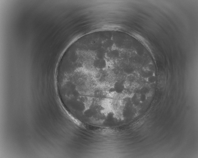 X0000074011235200609181826