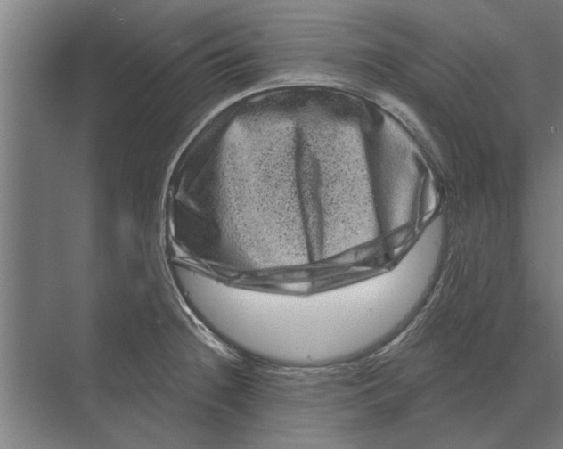 X0000074011236200609181826