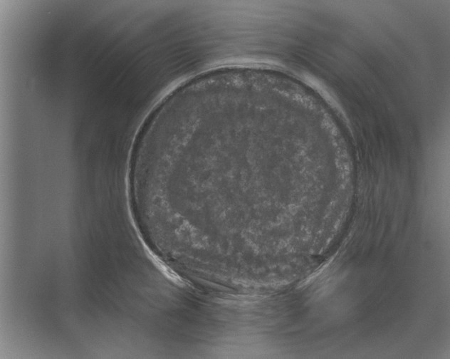 X0000074011237200609181826