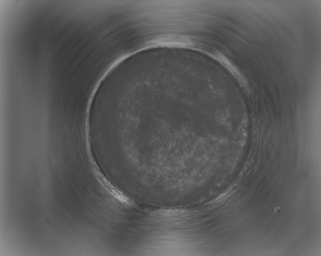 X0000074011240200609181826