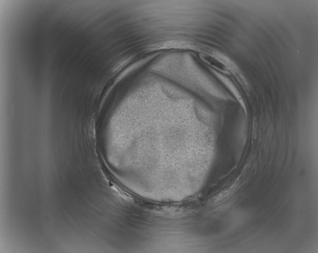 X0000074011241200609181826