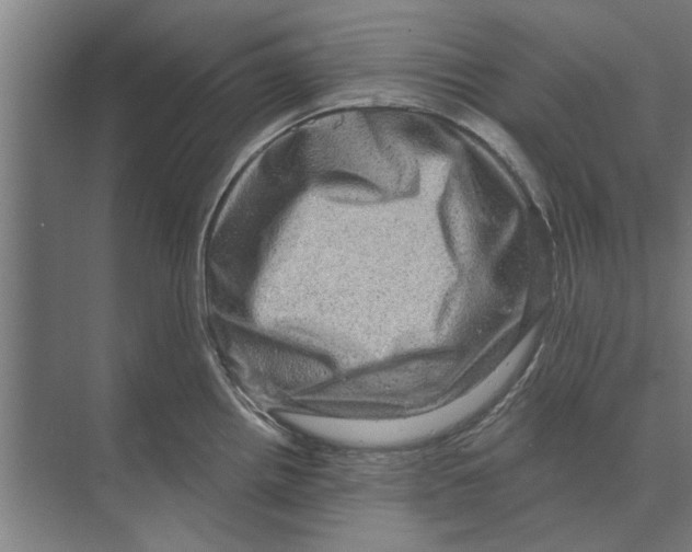 X0000074011242200609181826